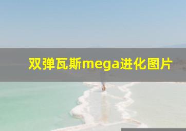 双弹瓦斯mega进化图片