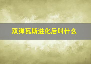 双弹瓦斯进化后叫什么