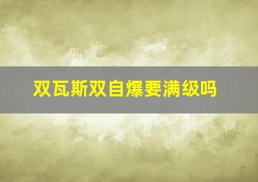 双瓦斯双自爆要满级吗