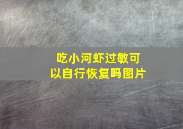 吃小河虾过敏可以自行恢复吗图片