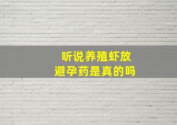 听说养殖虾放避孕药是真的吗