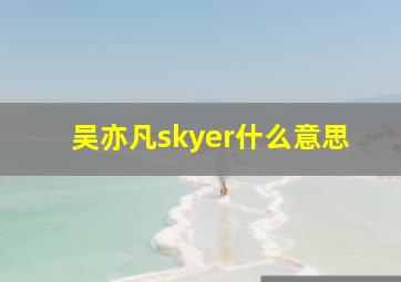 吴亦凡skyer什么意思