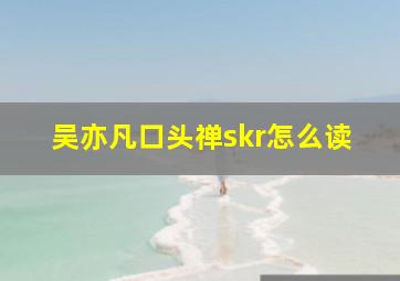 吴亦凡口头禅skr怎么读