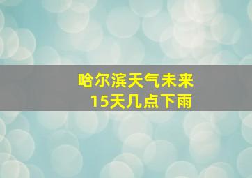 哈尔滨天气未来15天几点下雨