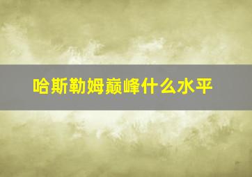 哈斯勒姆巅峰什么水平