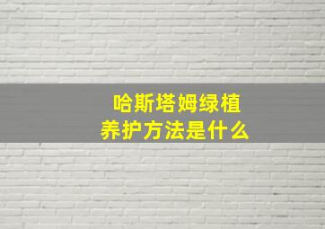 哈斯塔姆绿植养护方法是什么