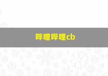 哔哩哔哩cb