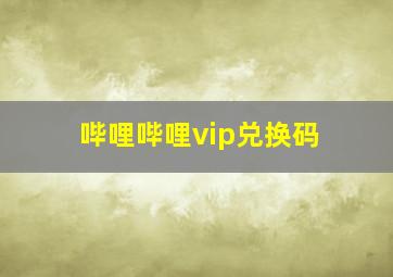 哔哩哔哩vip兑换码