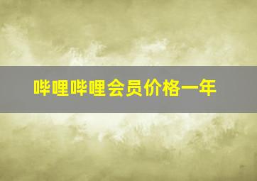 哔哩哔哩会员价格一年