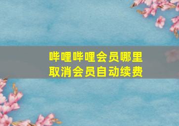 哔哩哔哩会员哪里取消会员自动续费