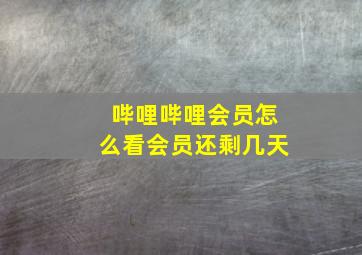 哔哩哔哩会员怎么看会员还剩几天