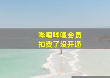 哔哩哔哩会员扣费了没开通