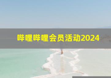 哔哩哔哩会员活动2024