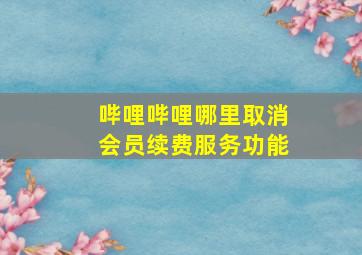 哔哩哔哩哪里取消会员续费服务功能