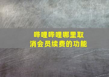 哔哩哔哩哪里取消会员续费的功能