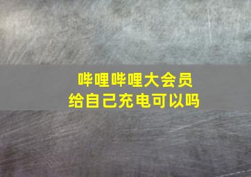 哔哩哔哩大会员给自己充电可以吗