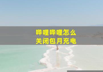 哔哩哔哩怎么关闭包月充电