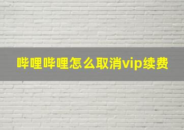 哔哩哔哩怎么取消vip续费