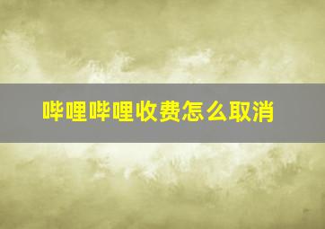 哔哩哔哩收费怎么取消