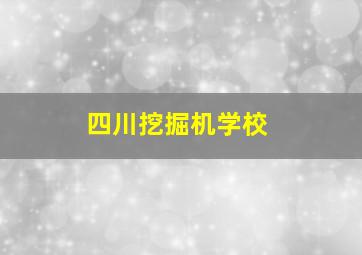 四川挖掘机学校