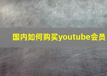 国内如何购买youtube会员