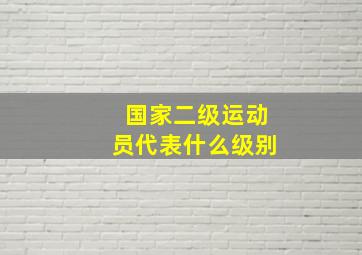 国家二级运动员代表什么级别