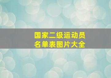 国家二级运动员名单表图片大全