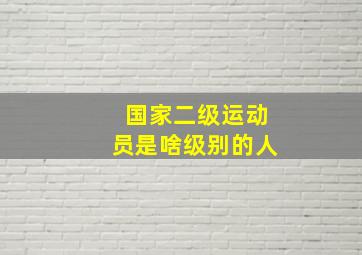 国家二级运动员是啥级别的人