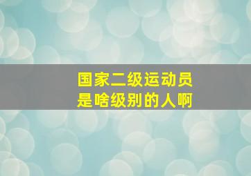 国家二级运动员是啥级别的人啊