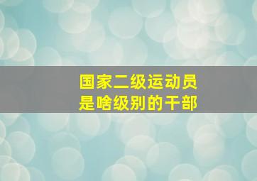 国家二级运动员是啥级别的干部