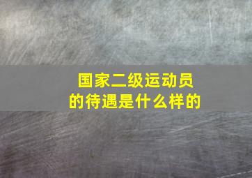 国家二级运动员的待遇是什么样的