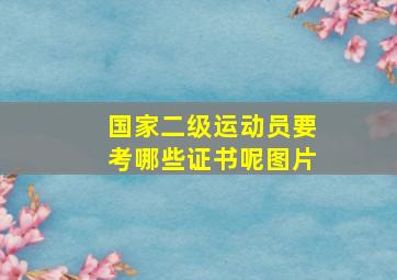 国家二级运动员要考哪些证书呢图片