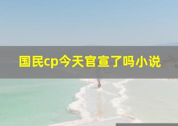 国民cp今天官宣了吗小说