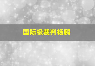 国际级裁判杨鹏