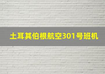 土耳其伯根航空301号班机