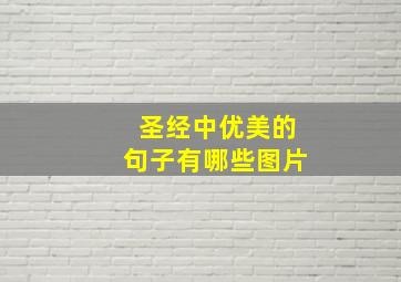 圣经中优美的句子有哪些图片