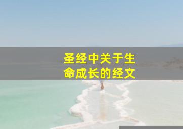 圣经中关于生命成长的经文