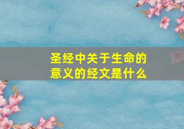 圣经中关于生命的意义的经文是什么