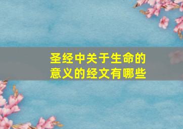 圣经中关于生命的意义的经文有哪些