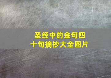 圣经中的金句四十句摘抄大全图片