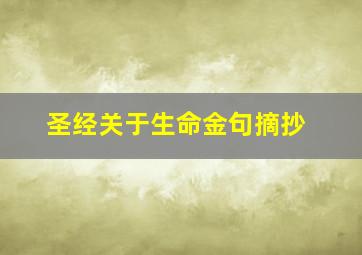 圣经关于生命金句摘抄