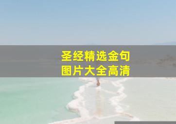 圣经精选金句图片大全高清