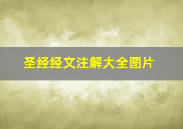 圣经经文注解大全图片