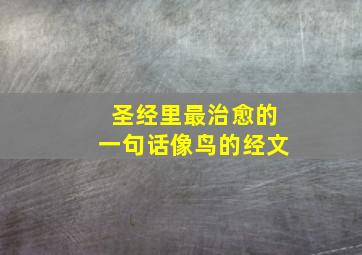 圣经里最治愈的一句话像鸟的经文