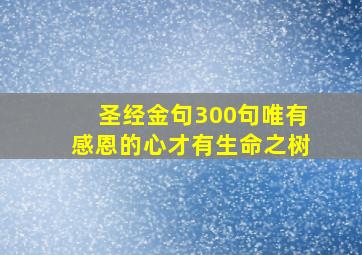 圣经金句300句唯有感恩的心才有生命之树