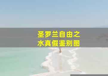 圣罗兰自由之水真假鉴别图