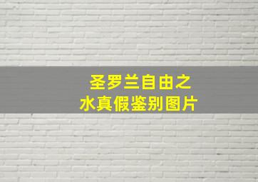 圣罗兰自由之水真假鉴别图片