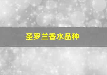 圣罗兰香水品种