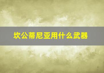 坎公蒂尼亚用什么武器