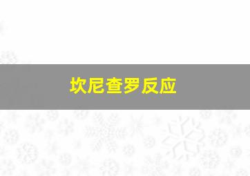 坎尼查罗反应